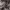 https://res.cloudinary.com/billionhands/image/upload/v1767187734/items/gzathsllsznpiv3bqqke.avif-1cover