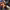 https://res.cloudinary.com/billionhands/image/upload/v1767188873/items/ymcm1jqmvbi0eoceog5f.jpg-2cover