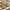 https://res.cloudinary.com/billionhands/image/upload/v1767188876/items/n8tj730htdzmyifw0l2u.jpg-1cover