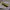 https://res.cloudinary.com/billionhands/image/upload/v1767188895/items/obfyq11slufmdsyktsyx.jpg-3cover