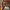 https://res.cloudinary.com/billionhands/image/upload/v1767188915/items/s3seycsmjbxkdob0ojrb.webp-1cover