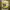https://res.cloudinary.com/billionhands/image/upload/v1767189078/items/kgd0atksnpz6pstznhnz.jpg-0cover