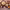https://res.cloudinary.com/billionhands/image/upload/v1767189080/items/ekcwiqc0eetku3mmfcy0.jpg-2cover