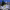 https://res.cloudinary.com/billionhands/image/upload/v1767190029/items/ihaynccn1l4e6x55pwcb.jpg-3cover