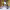 https://res.cloudinary.com/billionhands/image/upload/v1767190331/items/j4d2q8did5bwm4iwab0w.jpg-0cover