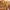 https://res.cloudinary.com/billionhands/image/upload/v1767190889/items/xseltdtv5gprrqp8c8s8.png-2cover