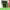 https://res.cloudinary.com/billionhands/image/upload/v1767190896/items/steszixlh0cmo0utokgc.png-3cover