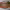 https://res.cloudinary.com/billionhands/image/upload/v1767191227/items/bpw7v7dr0amtkwqgqgpa.jpg-1cover