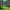 https://res.cloudinary.com/billionhands/image/upload/v1767191511/items/h88uopgwpfsphax1bxd2.jpg-3cover
