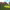 https://res.cloudinary.com/billionhands/image/upload/v1767191519/items/unxjifulydclheaaakgg.jpg-2cover