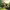 https://res.cloudinary.com/billionhands/image/upload/v1767191645/items/yyyxsgezgozqwa3h6qep.jpg-1cover
