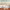 https://res.cloudinary.com/billionhands/image/upload/v1767191661/items/wfbu1uptrgntprljp2vj.avif-2cover