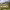 https://res.cloudinary.com/billionhands/image/upload/v1767192147/items/t0bns7yxuc0rqvefpwfi.jpg-2cover