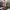 https://res.cloudinary.com/billionhands/image/upload/v1767192842/items/r3fuxgps7k23udvpyowq.jpg-2cover
