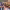 https://res.cloudinary.com/billionhands/image/upload/v1767194263/items/sefbepy9kkdyxz088tlv.avif-1cover