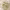 https://res.cloudinary.com/billionhands/image/upload/v1767194520/items/v6holdjday8yeamhlkls.jpg-0cover