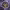 https://res.cloudinary.com/billionhands/image/upload/v1767230361/items/bswpijapi69qdyqvwjnm.png-1cover