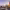 https://res.cloudinary.com/billionhands/image/upload/v1767230490/items/hzk2ghyvqjwj7look1n7.jpg-3cover