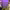https://res.cloudinary.com/billionhands/image/upload/v1767252128/items/hlyuvcpsqxdmi2qfk2ox.jpg-0cover