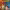 https://res.cloudinary.com/billionhands/image/upload/v1767268758/items/uz0pcewstr6aafkytcrs.jpg-2cover