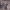 https://res.cloudinary.com/billionhands/image/upload/v1767339416/items/w4ytrm8izese5sp8kocj.jpg-2cover