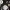 https://res.cloudinary.com/billionhands/image/upload/v1767359417/items/ygkxvy9lqt3spnkqwwv6.jpg-2cover
