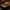 https://res.cloudinary.com/billionhands/image/upload/v1767359986/items/tcdog9em18l5jquftrvu.png-0cover