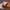 https://res.cloudinary.com/billionhands/image/upload/v1767359989/items/asrhbxyrotmdmra9n4hy.jpg-0cover