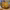 https://res.cloudinary.com/billionhands/image/upload/v1767360015/items/gjraxcrzbm0yaktuzkzi.jpg-0cover