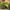 https://res.cloudinary.com/billionhands/image/upload/v1767360489/items/fmjikkmpscv0qlhewjxo.jpg-0cover