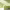 https://res.cloudinary.com/billionhands/image/upload/v1767360490/items/nlft31tuk0riznt88tij.webp-1cover