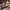 https://res.cloudinary.com/billionhands/image/upload/v1767360525/items/je0efkln7xis9ogc5eab.webp-3cover