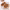 https://res.cloudinary.com/billionhands/image/upload/v1767360543/items/htfxnslia2zdq7dnlisq.webp-3cover