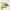 https://res.cloudinary.com/billionhands/image/upload/v1767360558/items/vbtwrcd9jek1efmkrttw.jpg-2cover