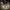 https://res.cloudinary.com/billionhands/image/upload/v1767361514/items/dyiaytph0mregcgqlfsk.webp-1cover