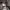 https://res.cloudinary.com/billionhands/image/upload/v1767361607/items/is2vk25cnkb7icnhwh3i.jpg-2cover