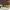 https://res.cloudinary.com/billionhands/image/upload/v1767362044/items/zyccihw87i6szusf2fru.jpg-1cover