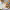 https://res.cloudinary.com/billionhands/image/upload/v1767362066/items/ur03an7d3yfxvwywdywg.jpg-2cover
