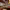 https://res.cloudinary.com/billionhands/image/upload/v1767362169/items/lhrm2xgdwnvihlhdzdmh.jpg-2cover
