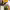 https://res.cloudinary.com/billionhands/image/upload/v1767362170/items/xyomn8xh1c0xjusdc3rk.jpg-2cover