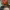 https://res.cloudinary.com/billionhands/image/upload/v1767363786/items/f834oni2mz6pethw5m2q.jpg-0cover