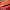 https://res.cloudinary.com/billionhands/image/upload/v1767364019/items/vabip5xzo6vno0ufueko.jpg-2cover