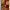 https://res.cloudinary.com/billionhands/image/upload/v1767364411/items/ewuogicopjblq0bpmdtv.webp-1cover