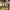 https://res.cloudinary.com/billionhands/image/upload/v1767364428/items/yt7ufzfgvlca7wusqbss.jpg-3cover