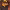 https://res.cloudinary.com/billionhands/image/upload/v1767366171/items/o8xovyxedxd1ahktiwqh.jpg-0cover