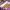 https://res.cloudinary.com/billionhands/image/upload/v1767367751/items/qtkpqaygfmbnbbmt59rz.webp-3cover