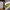 https://res.cloudinary.com/billionhands/image/upload/v1767368287/items/m6ynrdhrpqe1xznckc7j.jpg-2cover