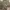 https://res.cloudinary.com/billionhands/image/upload/v1767370998/items/otcdsgi35okio1aey1br.jpg-1cover
