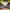 https://res.cloudinary.com/billionhands/image/upload/v1767371013/items/cbcfmnf2oad7mv0ekafq.jpg-2cover