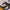 https://res.cloudinary.com/billionhands/image/upload/v1767371395/items/tds591usjicsblcu4uxm.jpg-2cover
